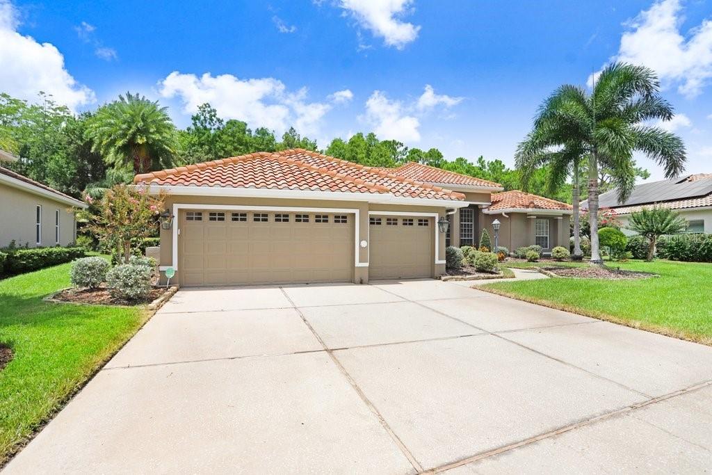 12029 BREWSTER DR, TAMPA, FL, 33626