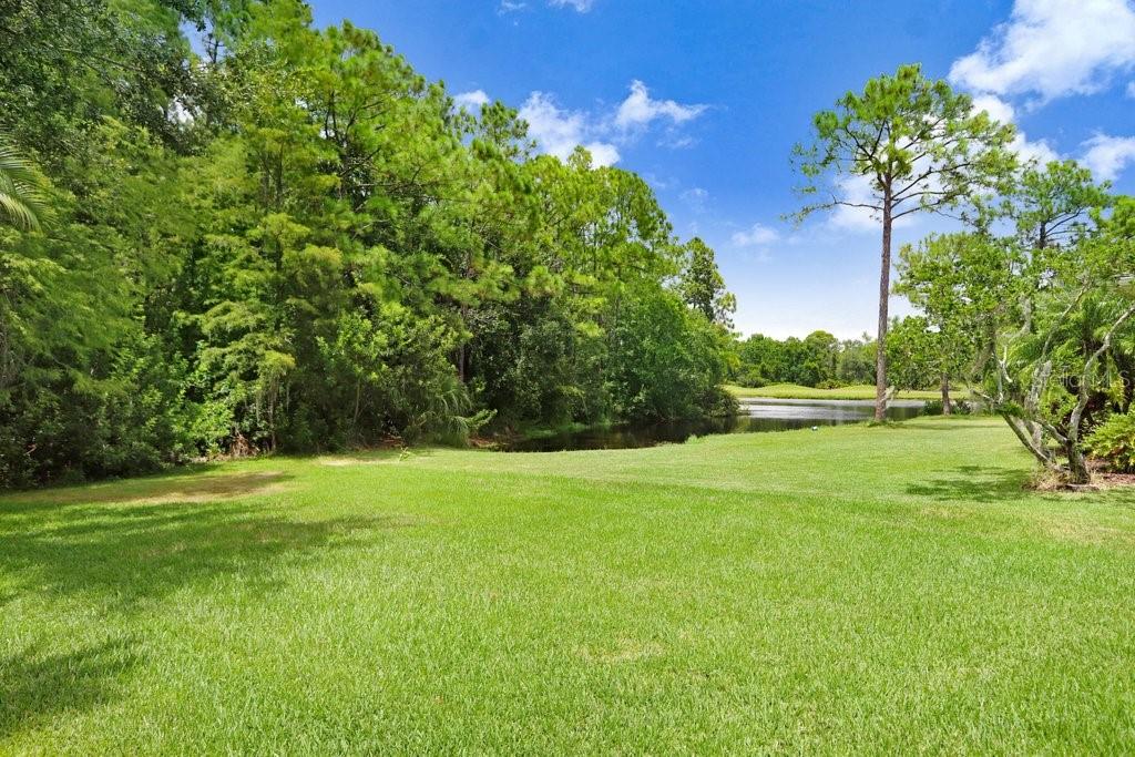 12029 BREWSTER DR, TAMPA, FL, 33626