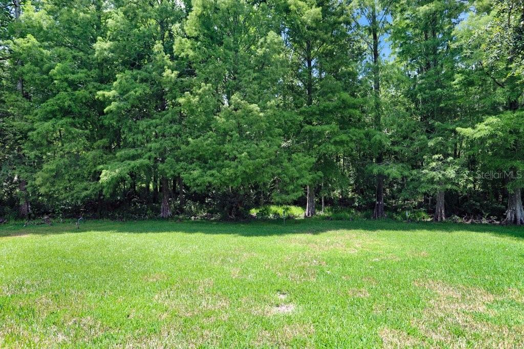 12029 BREWSTER DR, TAMPA, FL, 33626