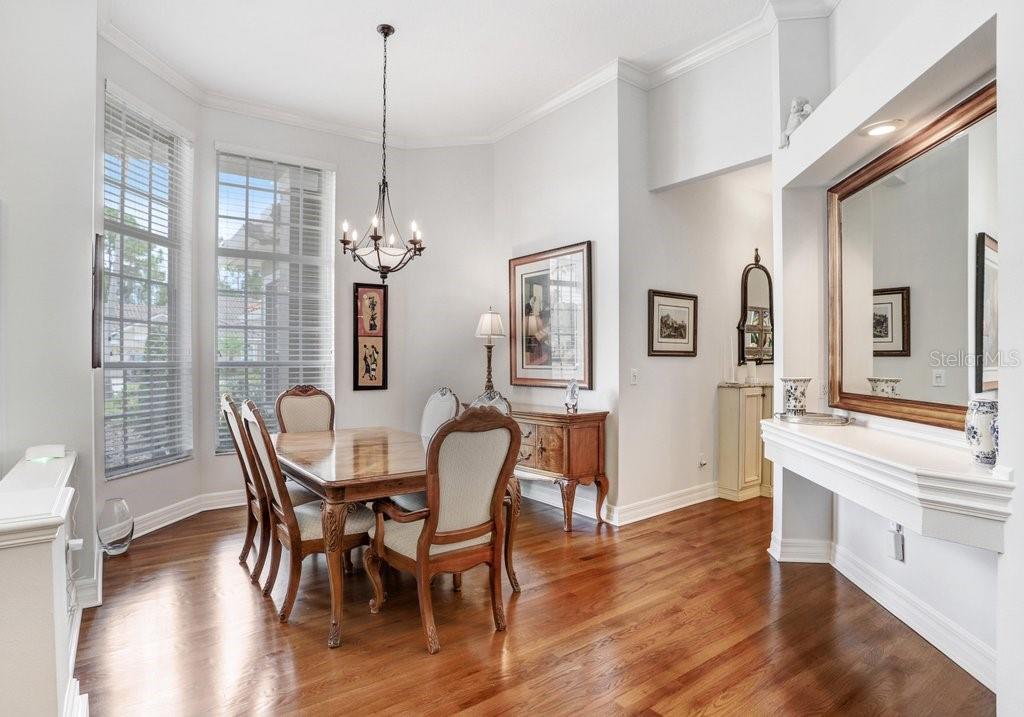 12029 BREWSTER DR, TAMPA, FL, 33626