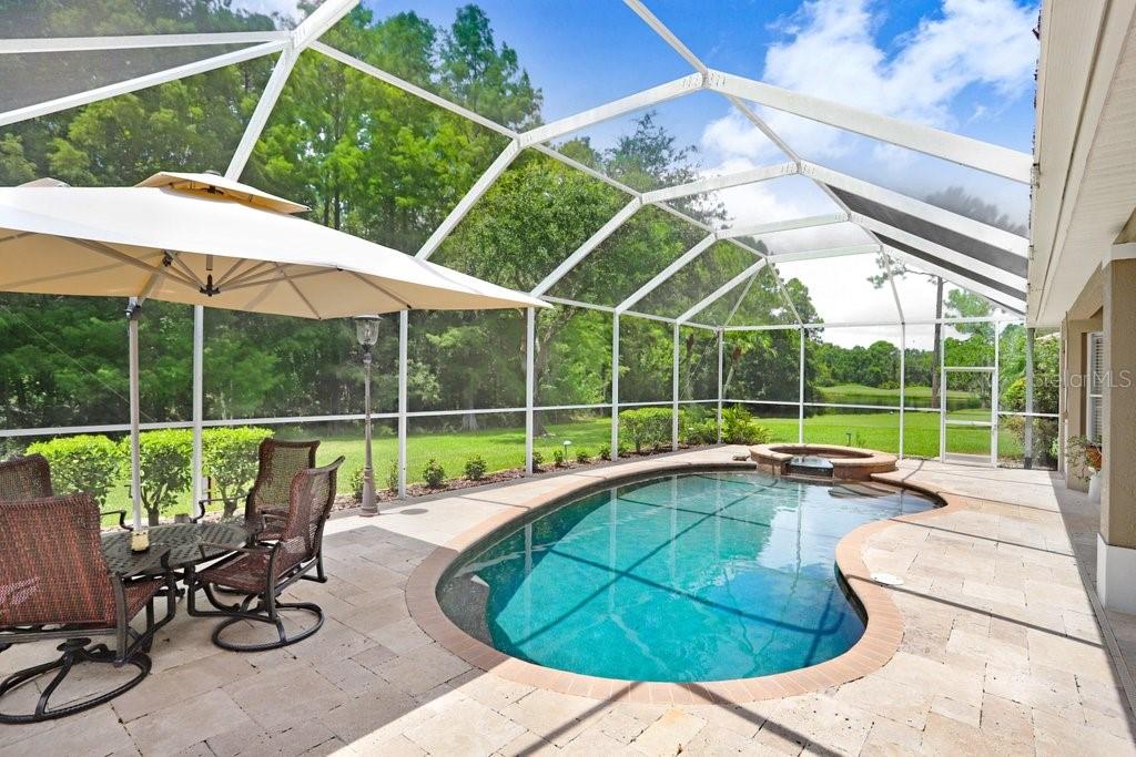 12029 BREWSTER DR, TAMPA, FL, 33626