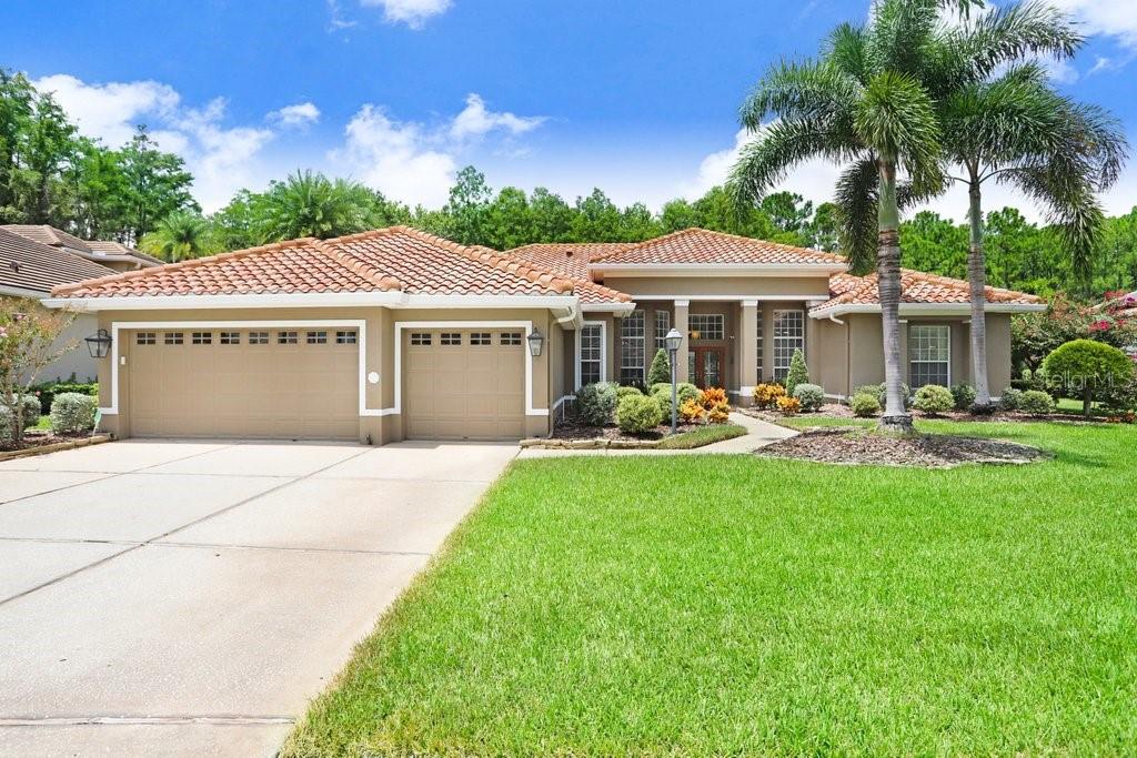 12029 BREWSTER DR, TAMPA, FL, 33626