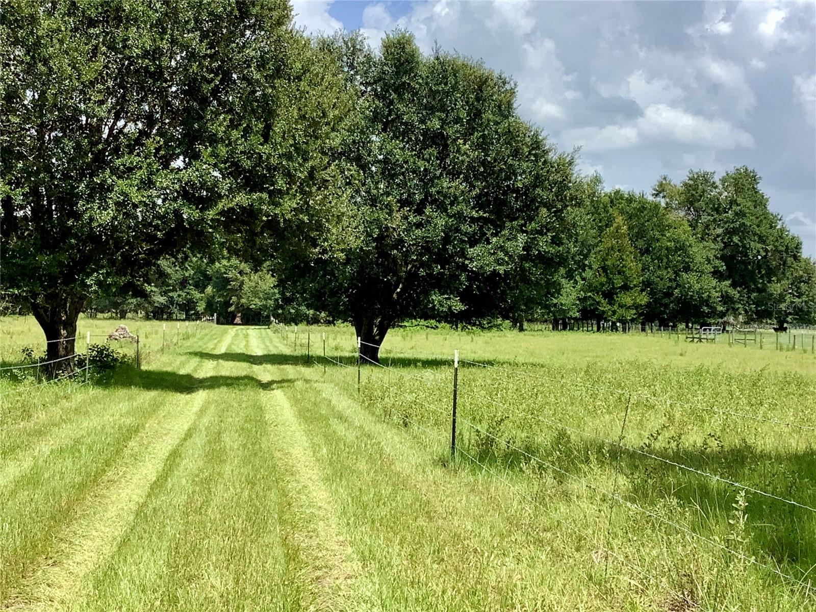 Unassigned COUNTY ROAD 738, WEBSTER, FL, 33597