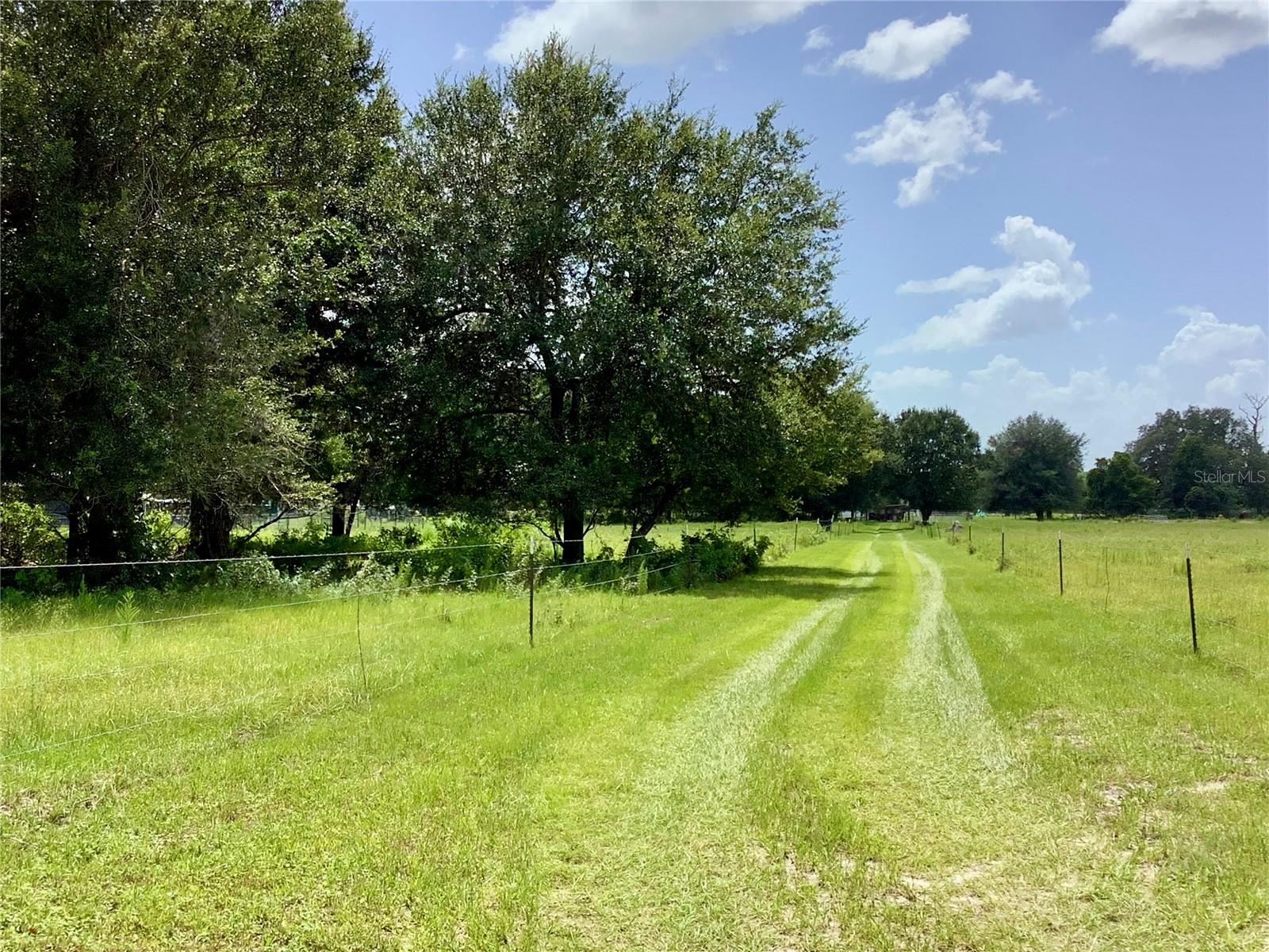 Unassigned COUNTY ROAD 738, WEBSTER, FL, 33597