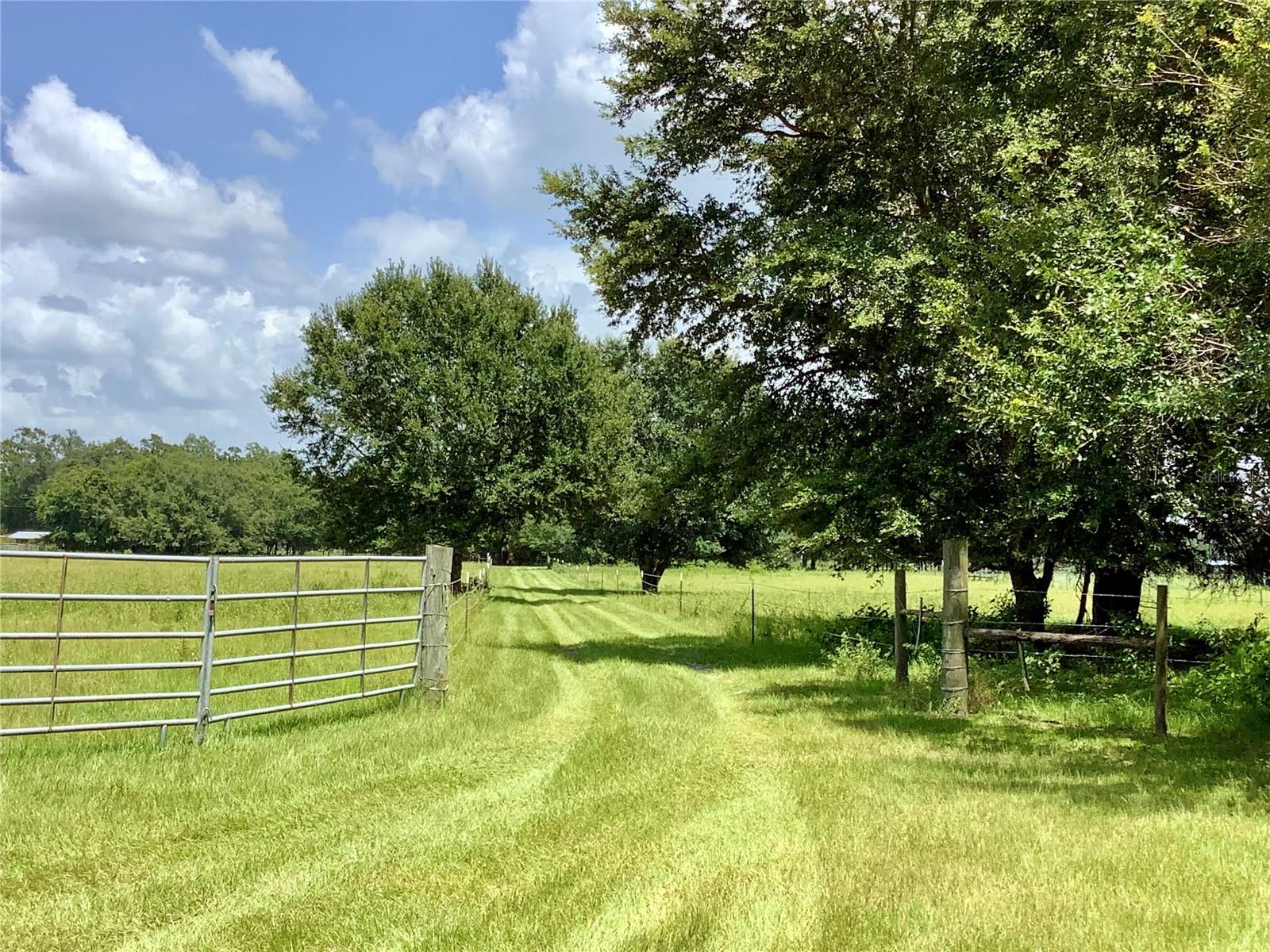 Unassigned COUNTY ROAD 738, WEBSTER, FL, 33597