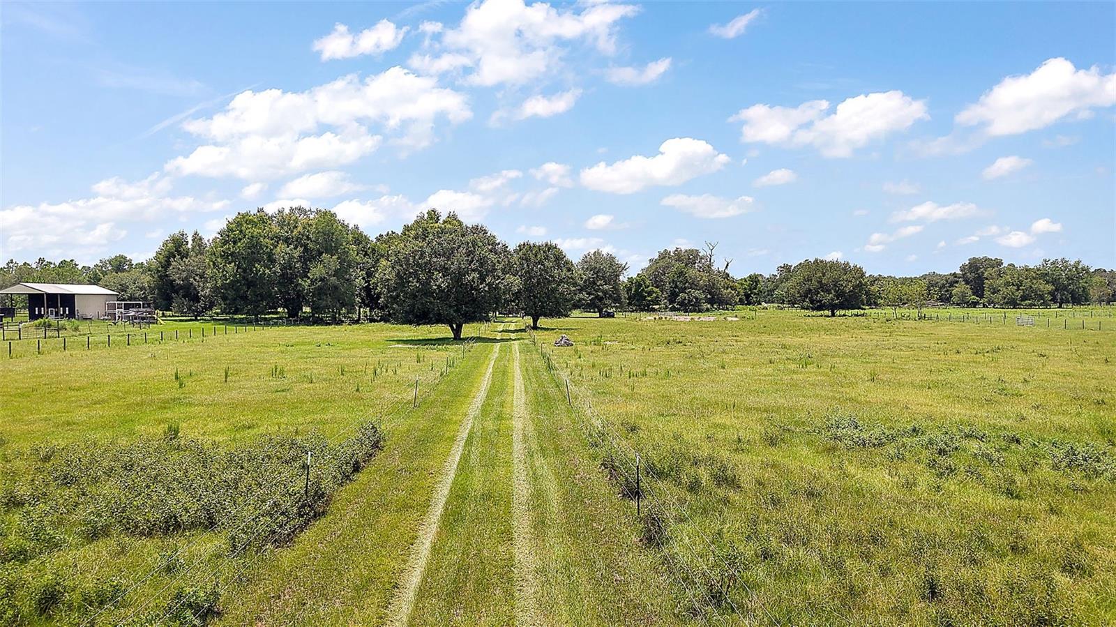 Unassigned COUNTY ROAD 738, WEBSTER, FL, 33597