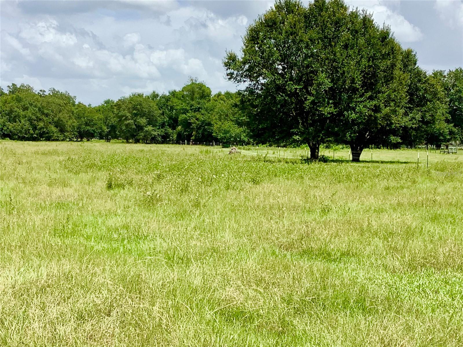 Unassigned COUNTY ROAD 738, WEBSTER, FL, 33597