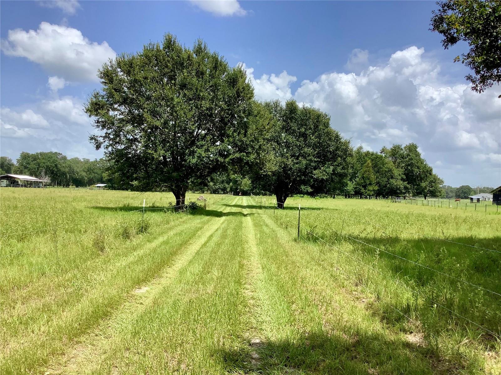 Unassigned COUNTY ROAD 738, WEBSTER, FL, 33597
