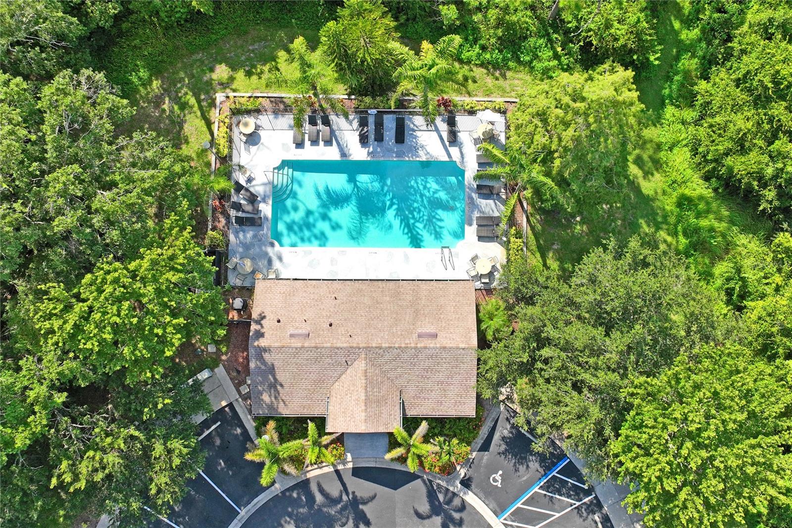 8604 GREAT EGRET TRCE, NEW PORT RICHEY, FL, 34653