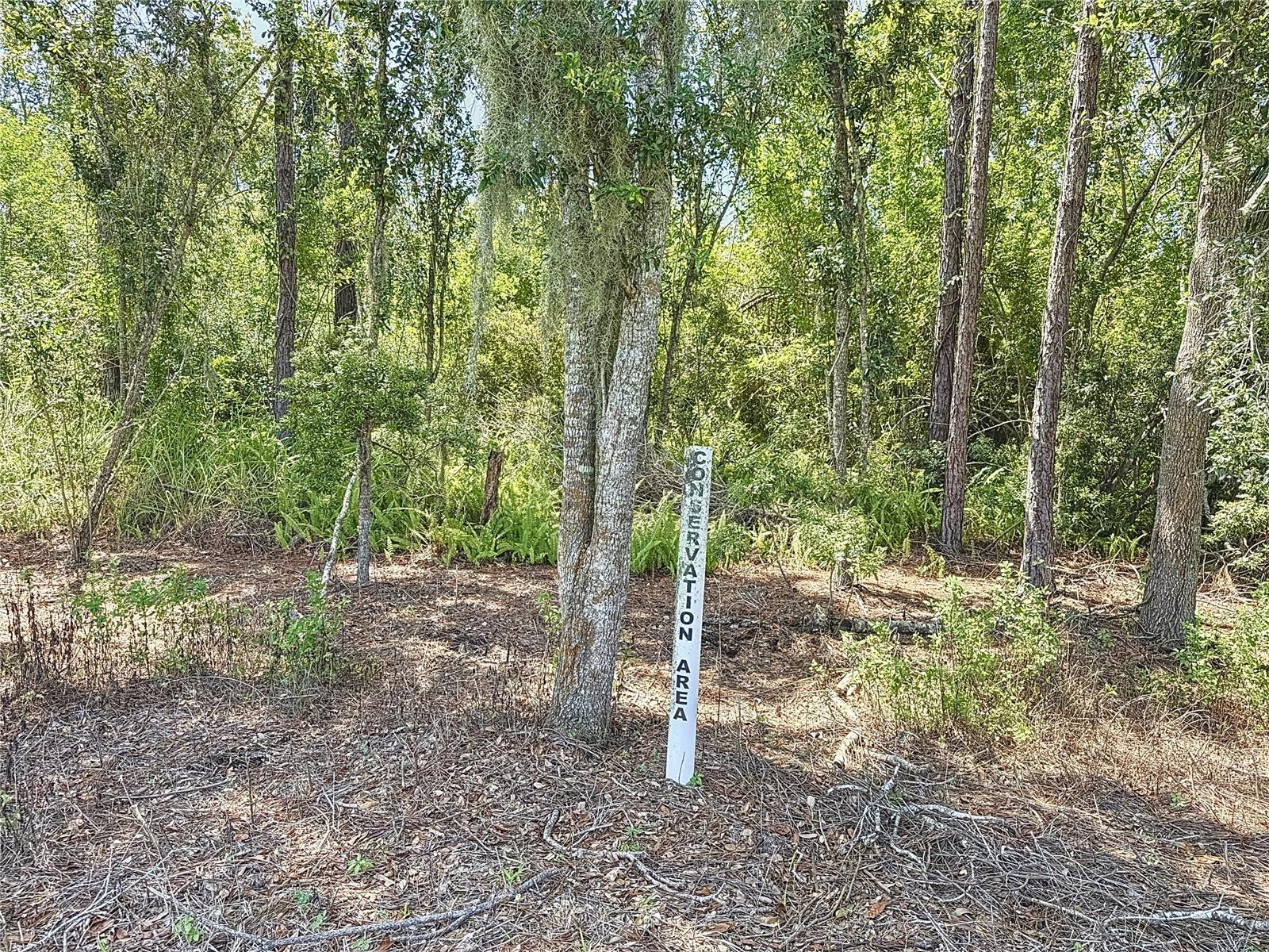 324 165TH CT NE, BRADENTON, FL, 34212