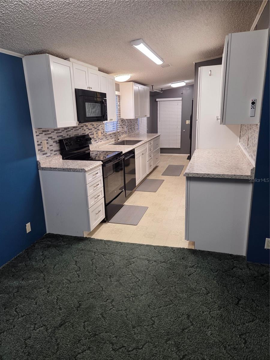 9129 WOOD TERRACE DR, TAMPA, FL, 33637