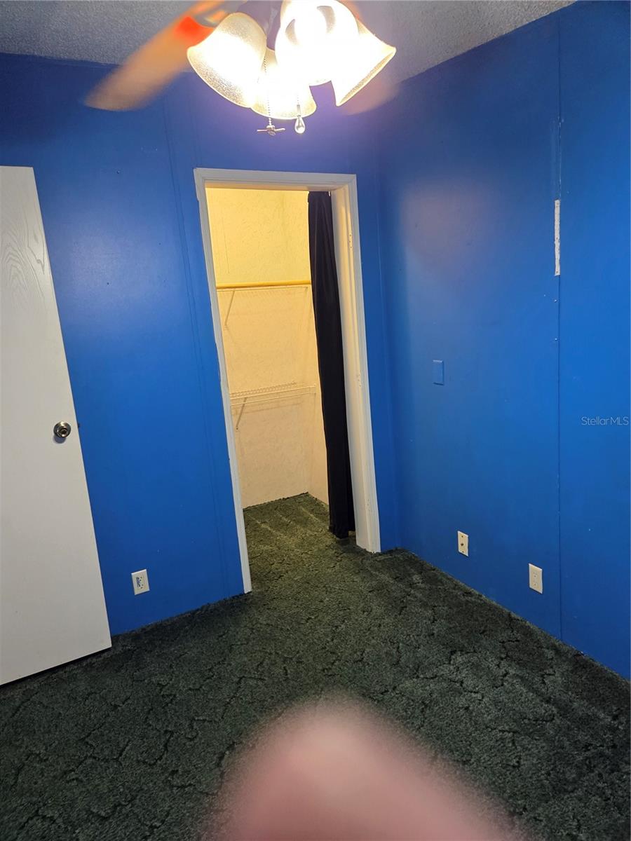 9129 WOOD TERRACE DR, TAMPA, FL, 33637