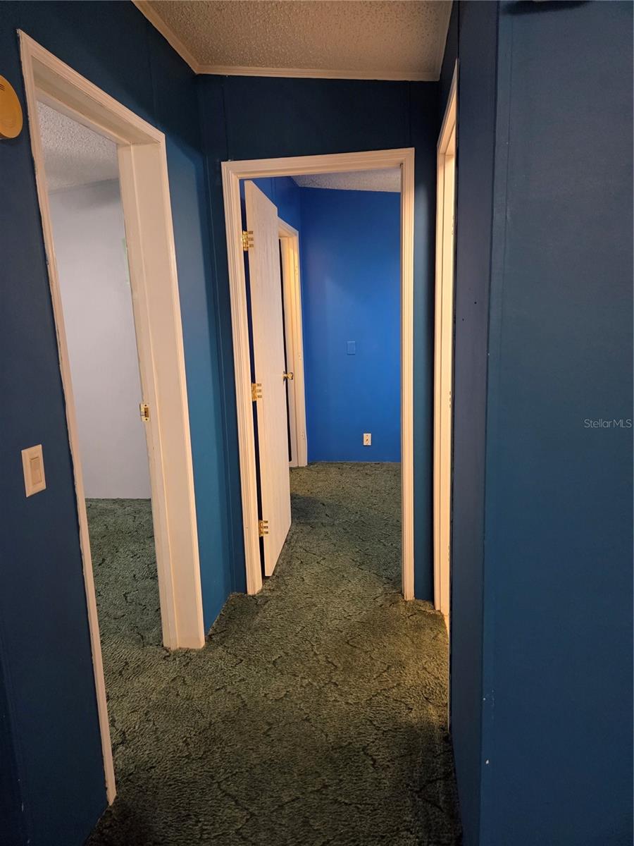 9129 WOOD TERRACE DR, TAMPA, FL, 33637