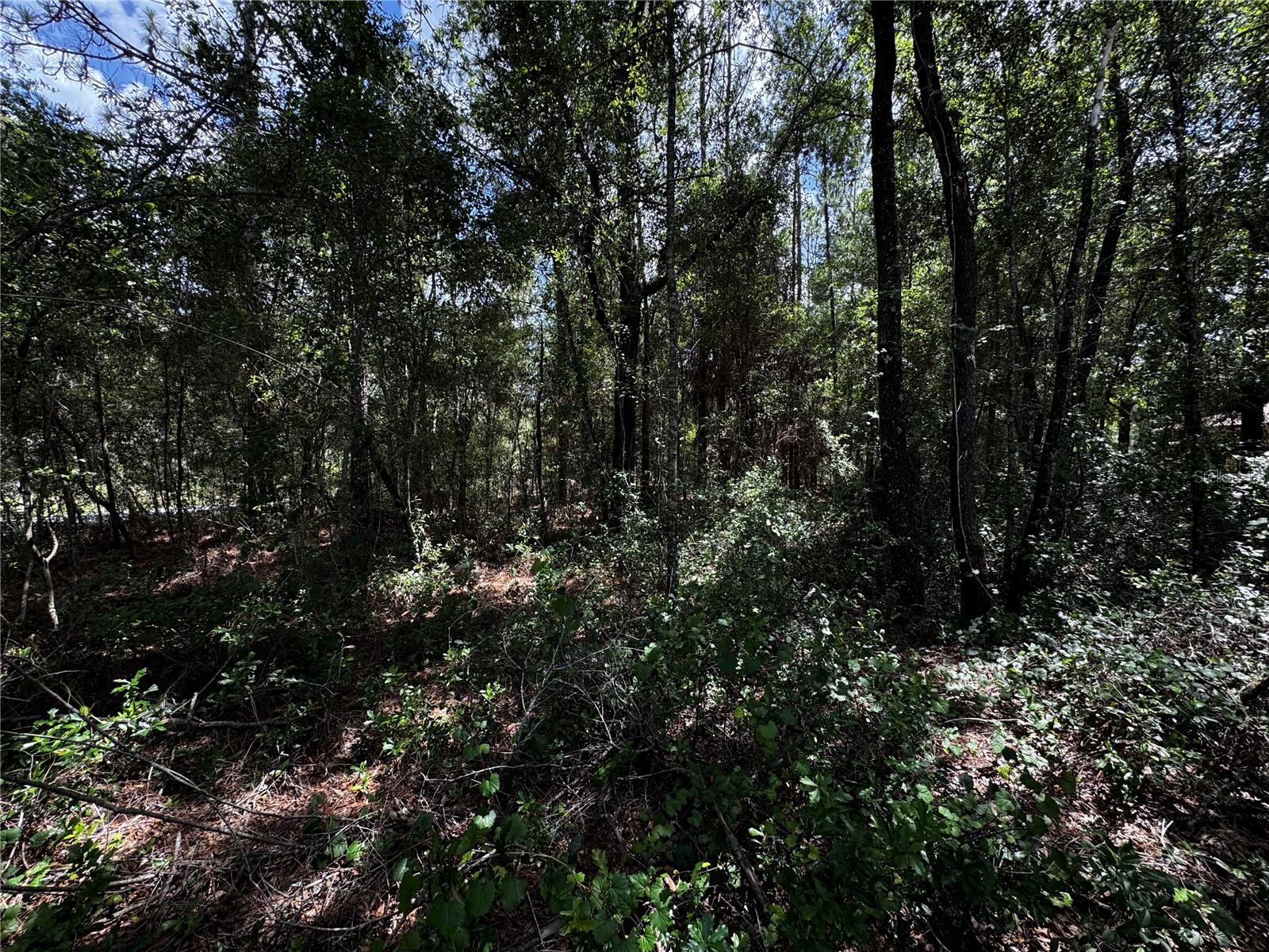 SW 106TH AVE, DUNNELLON, FL, 34431