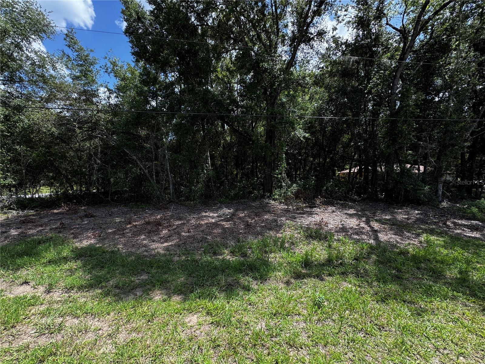 SW 106TH AVE, DUNNELLON, FL, 34431