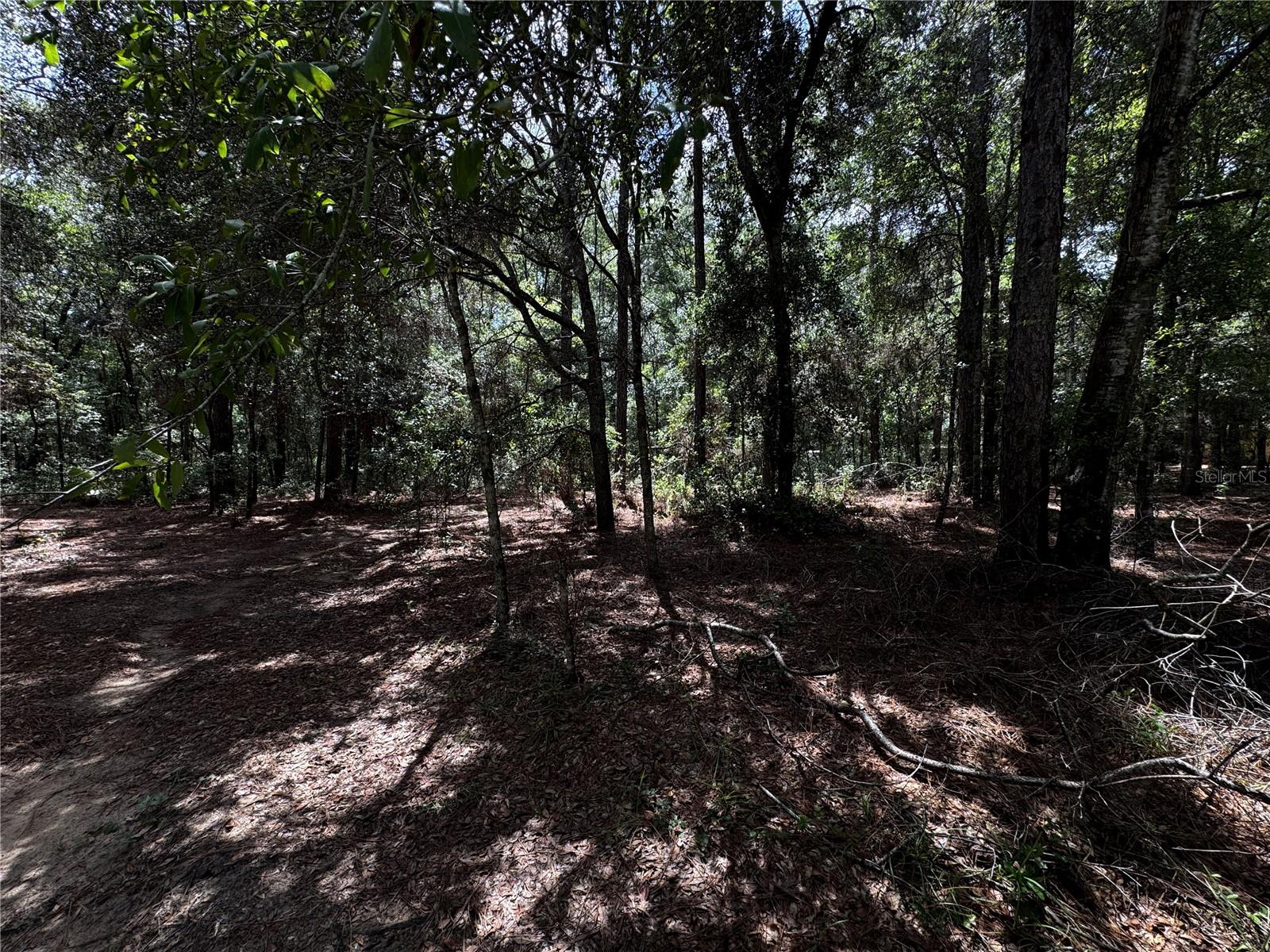 SW 106TH AVE, DUNNELLON, FL, 34431