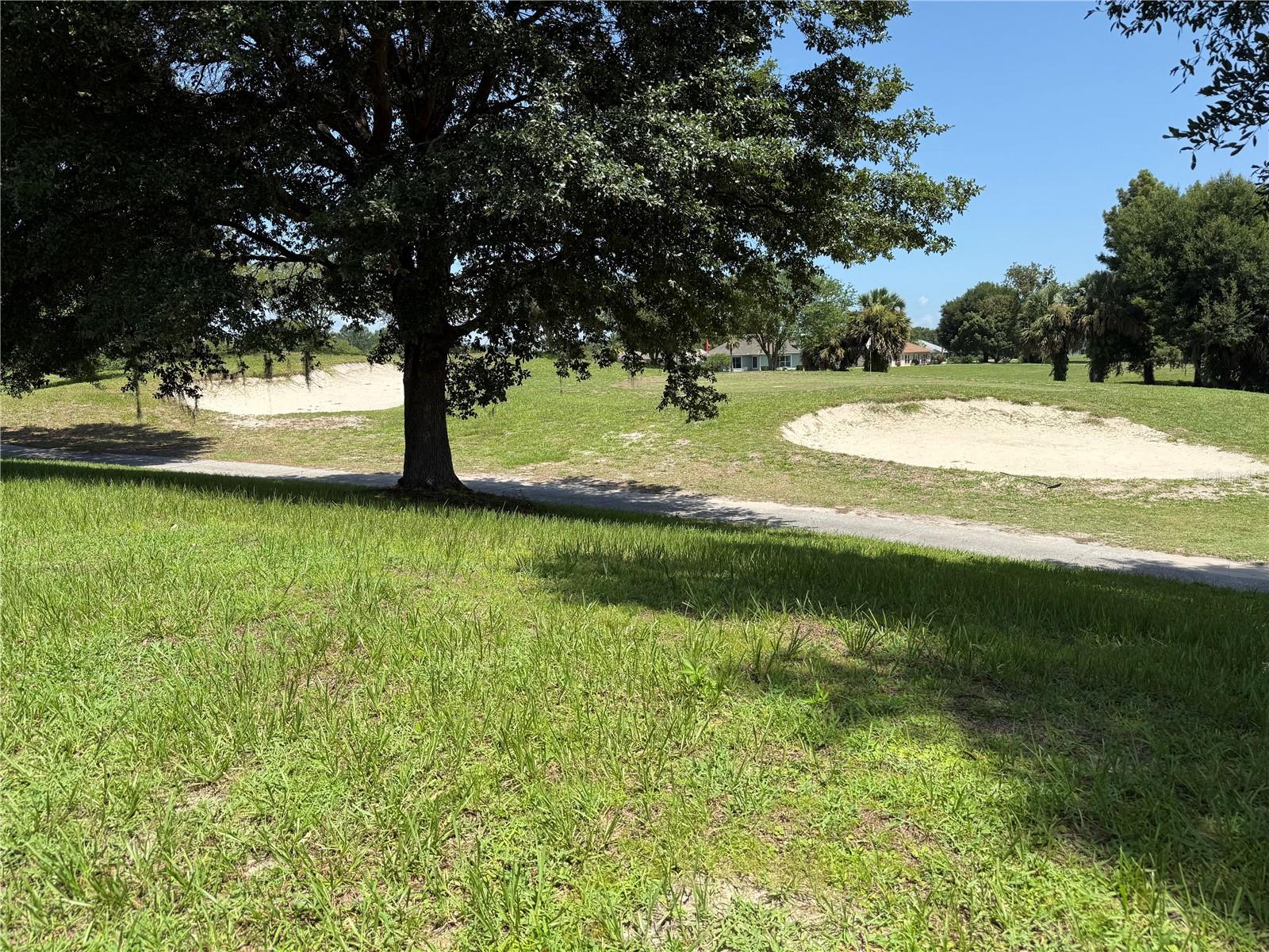 523 DOWLING CIR, LADY LAKE, FL, 32159