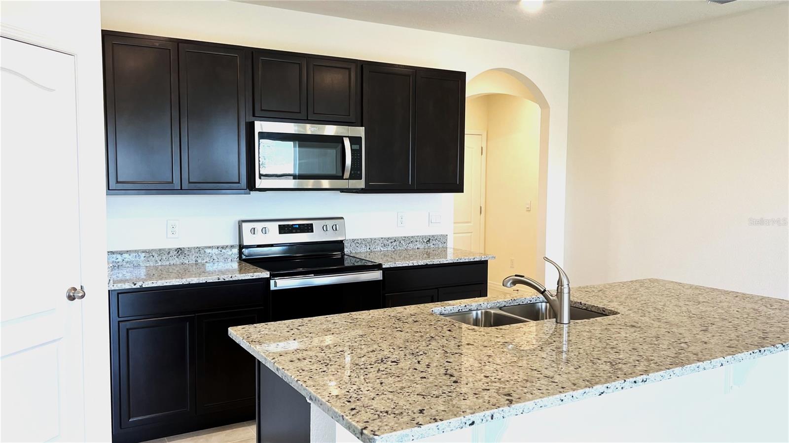 487 LILY LN, DAVENPORT, FL, 33837