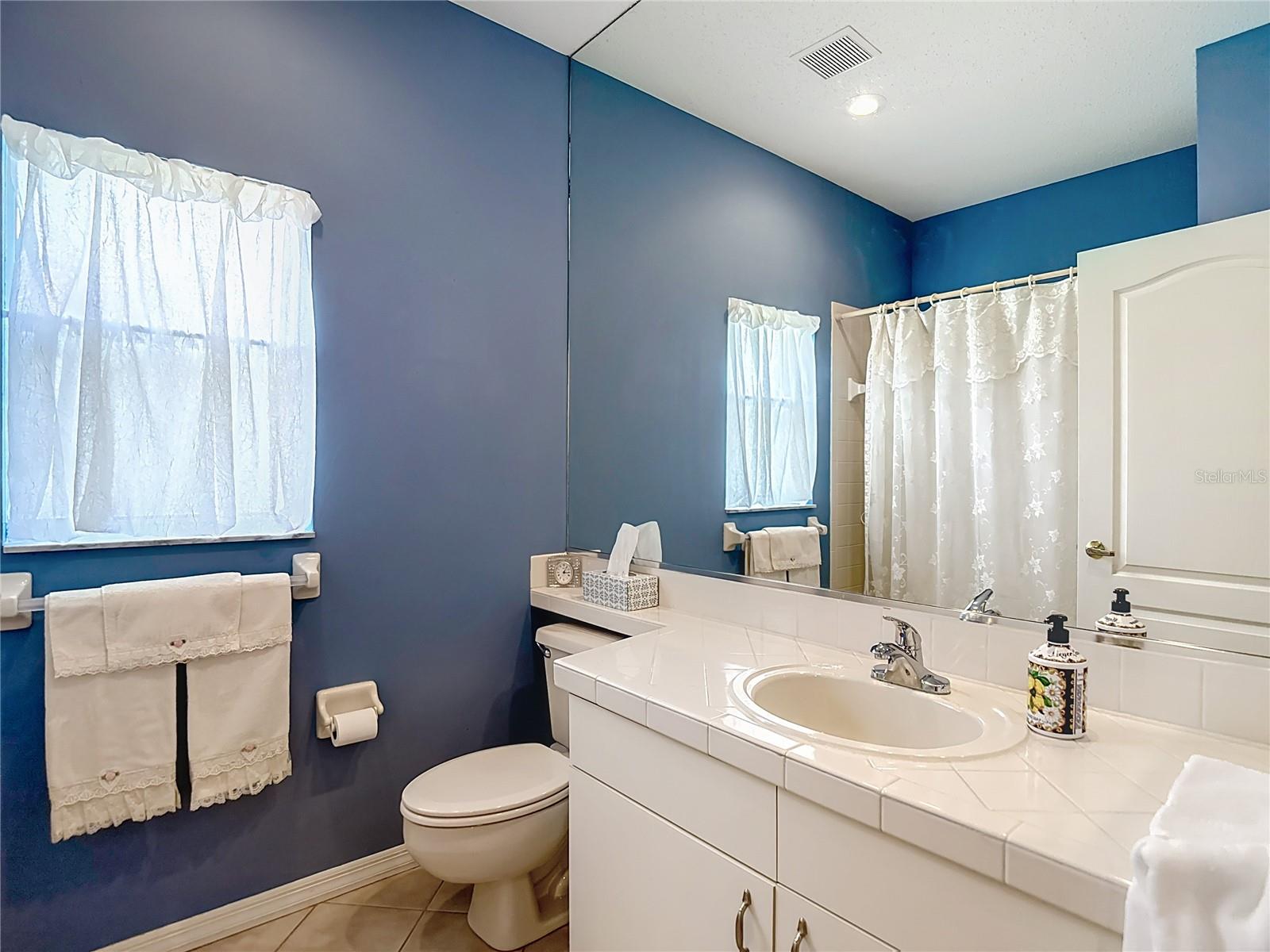 Bathroom 2 tile counter tops