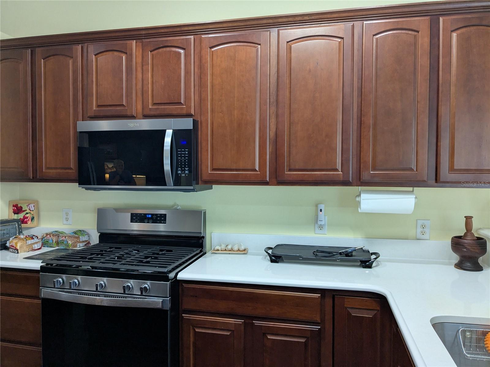 15771 SW 16TH TER, OCALA, FL, 34473