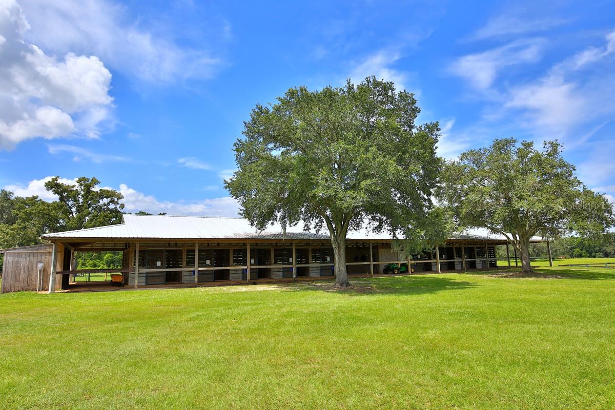 OM706524 Property Photo