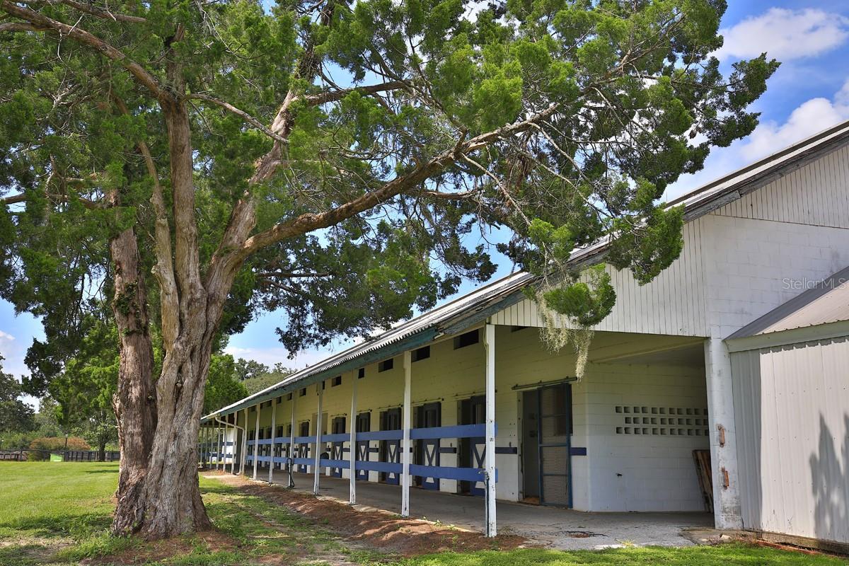 OM706524 Property Photo