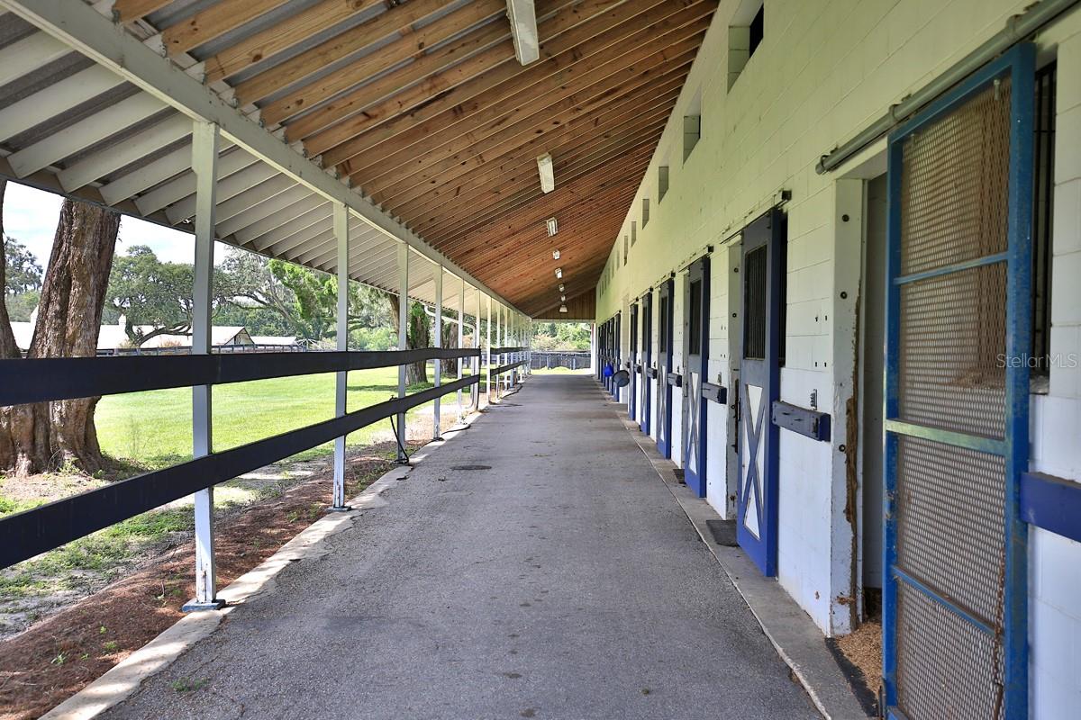 OM706524 Property Photo