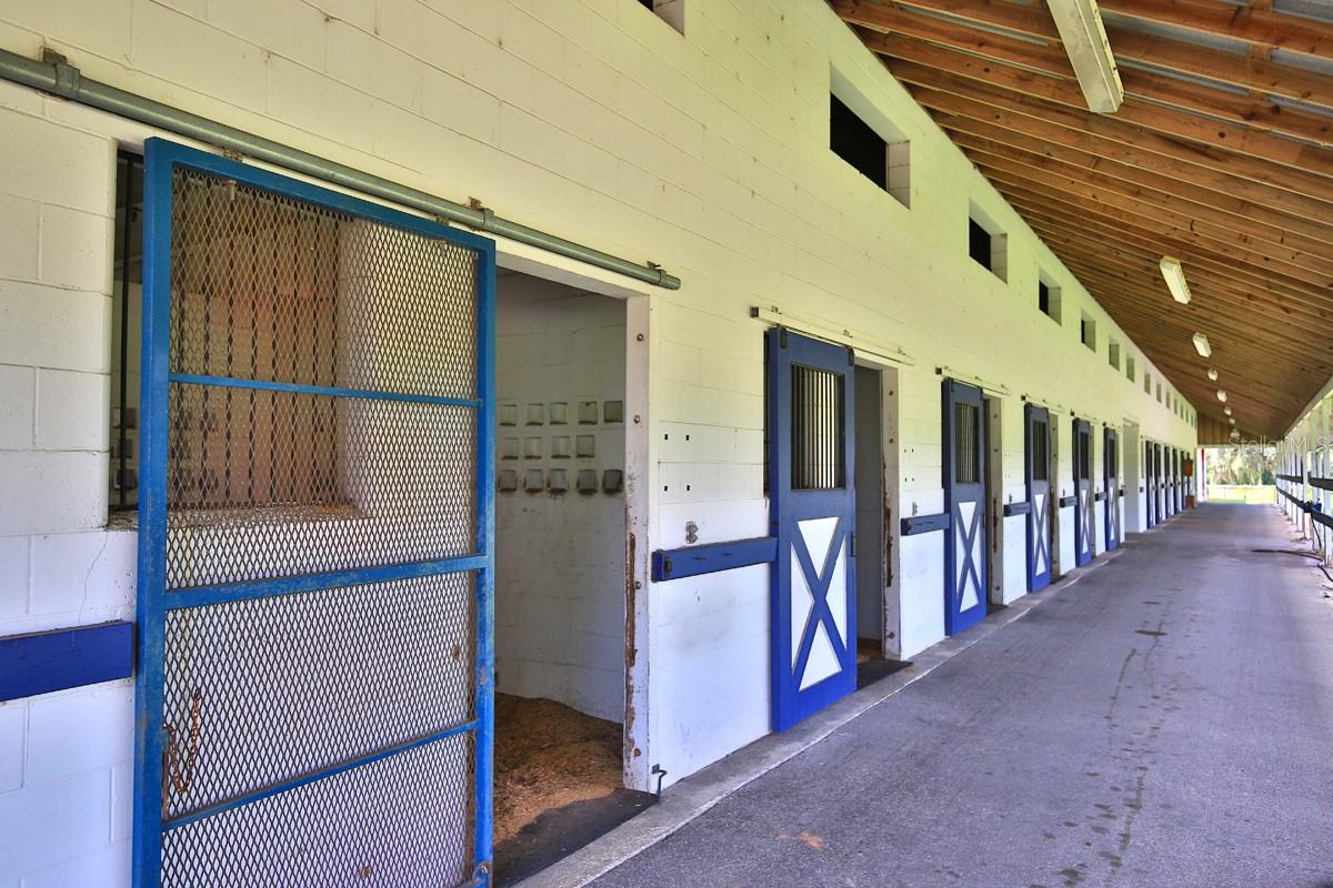 OM706524 Property Photo