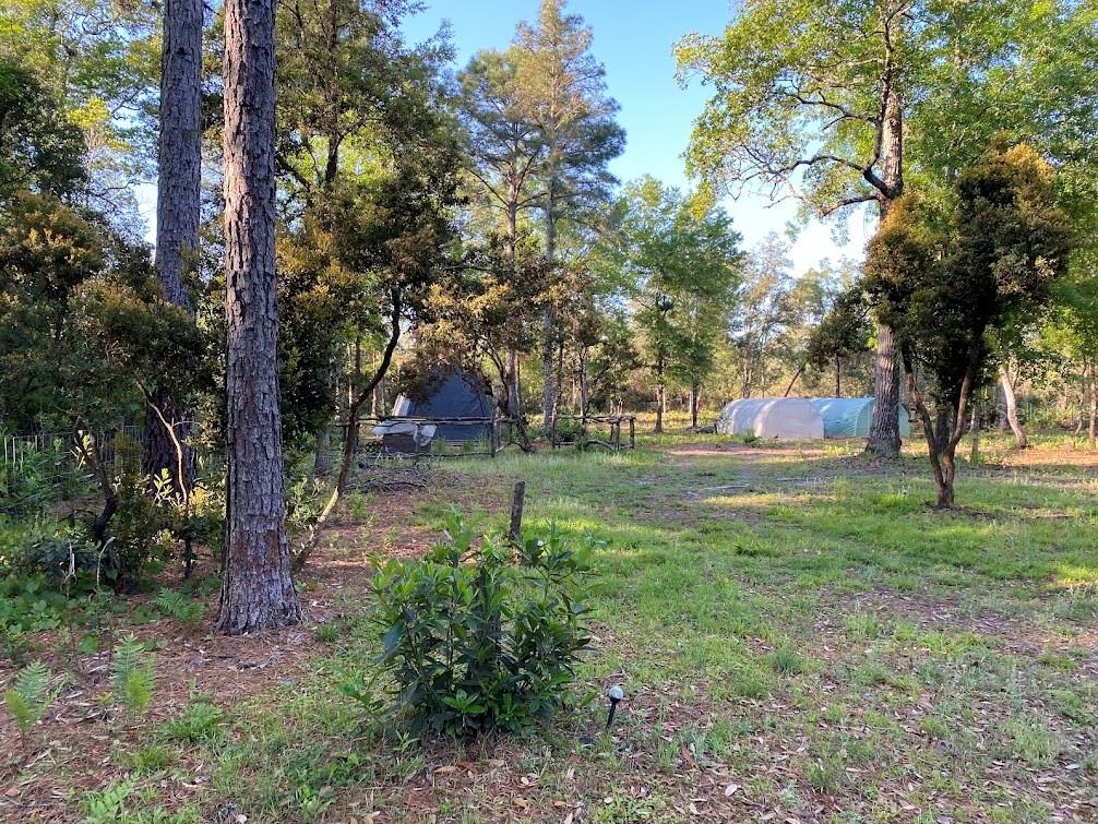 117 DOBY RD, FLORAHOME, FL, 32140