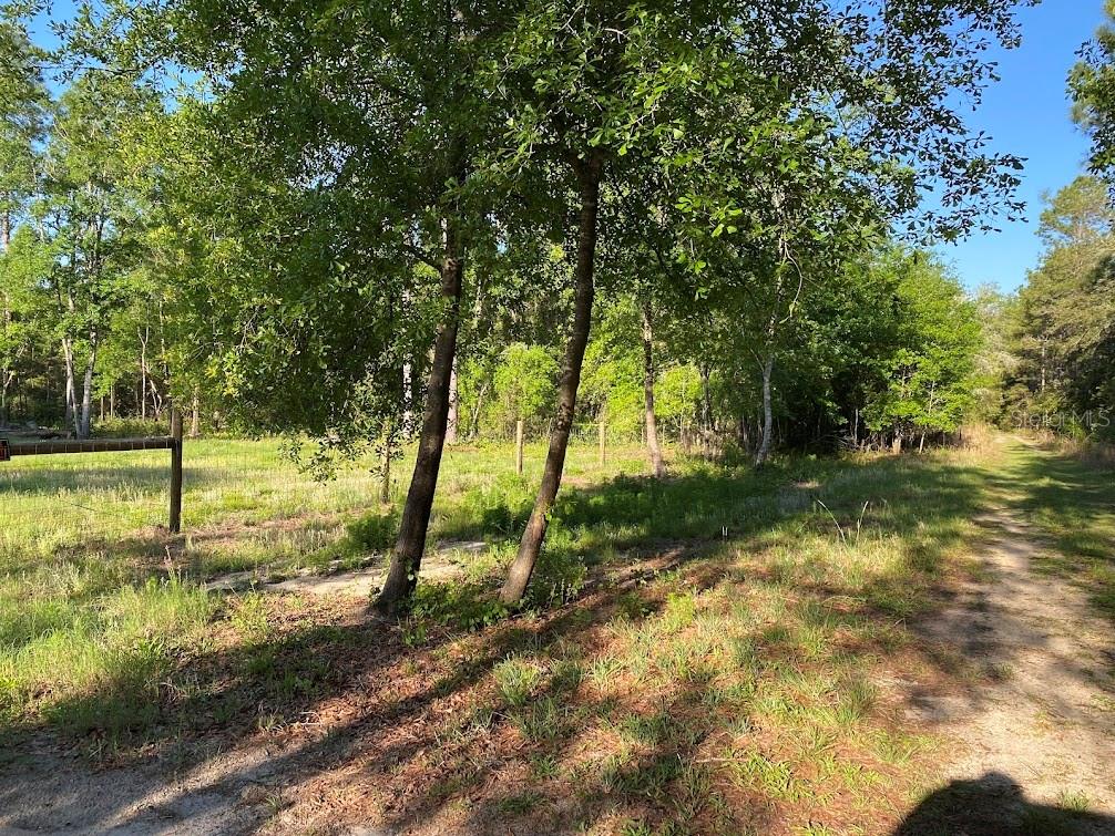 117 DOBY RD, FLORAHOME, FL, 32140