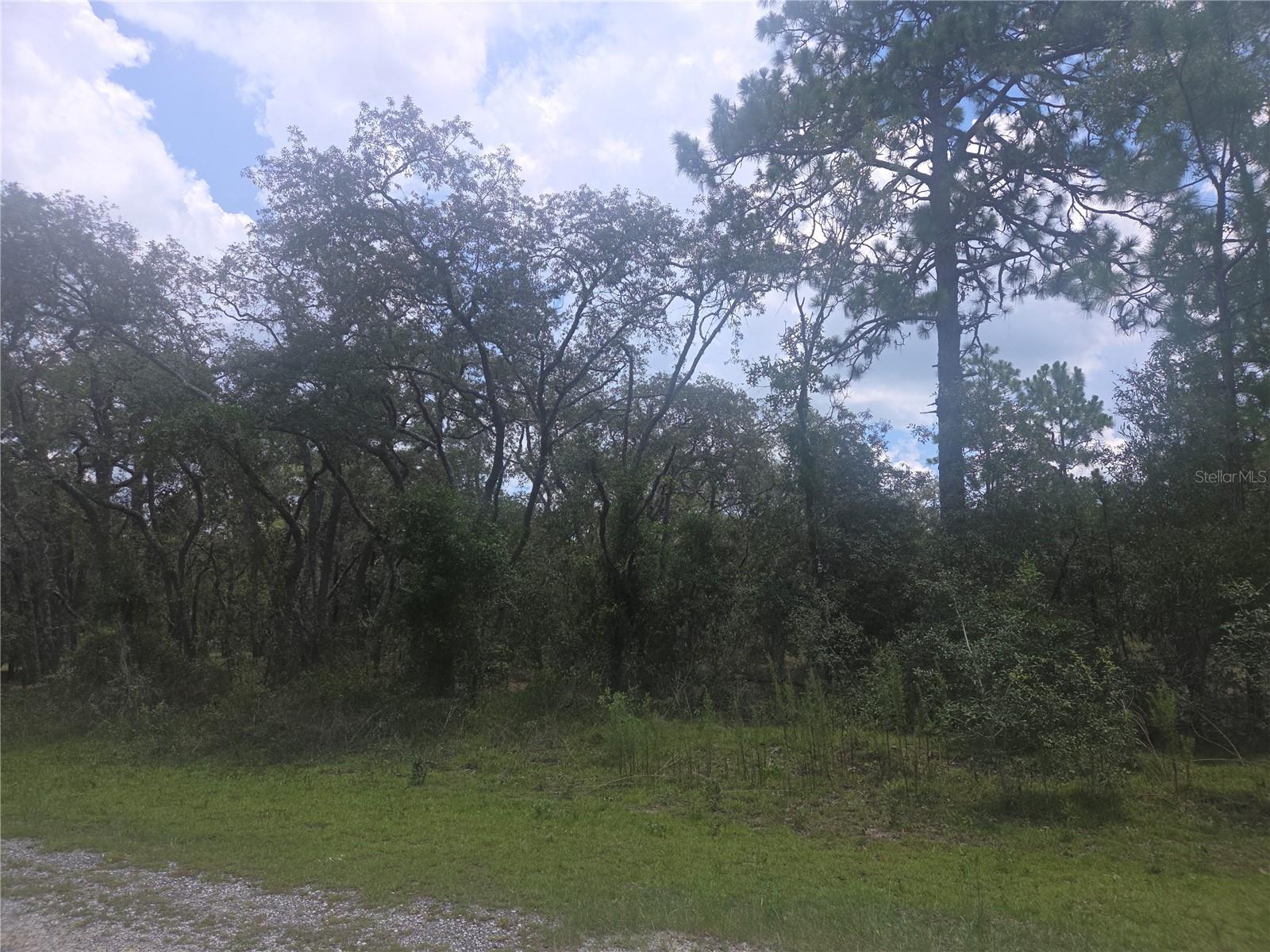 Lot 3 SE 129 COURT, DUNNELLON, FL, 34431