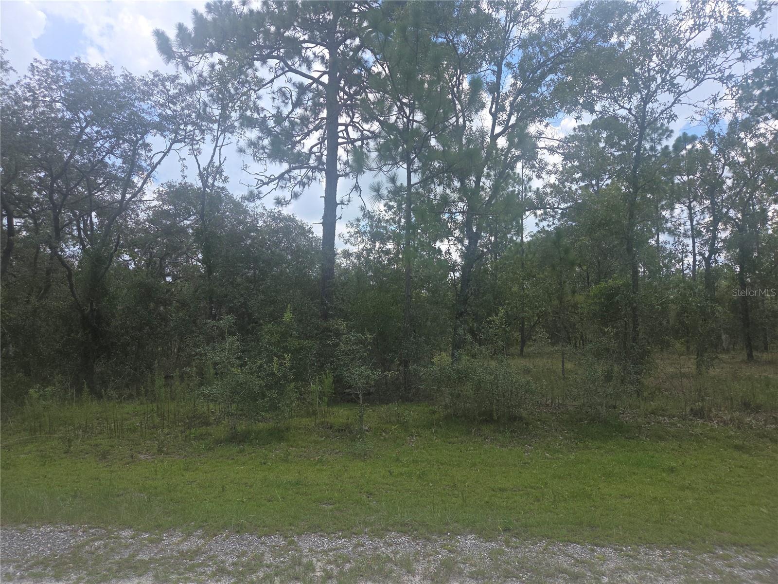 Lot 3 SE 129 COURT, DUNNELLON, FL, 34431