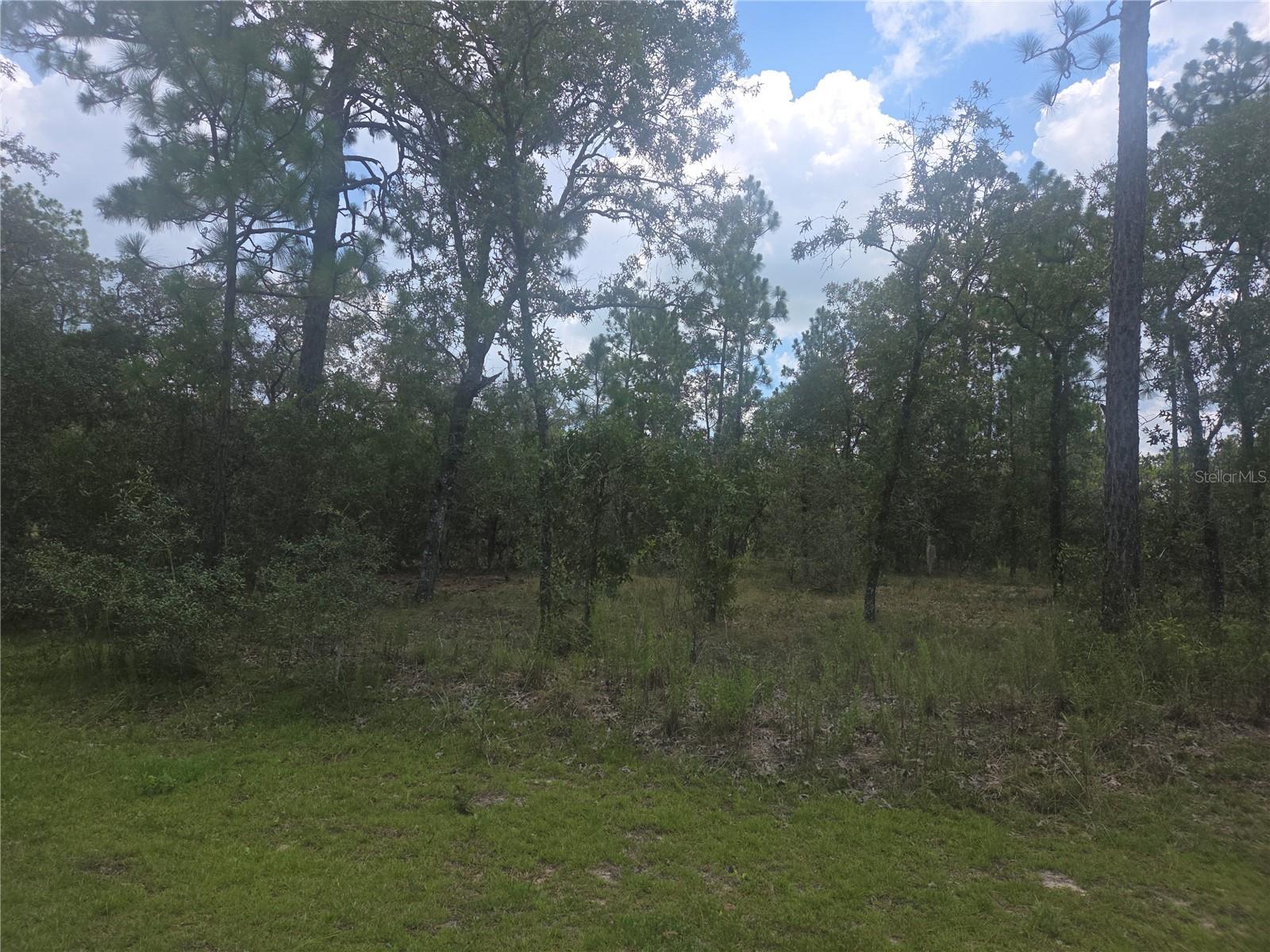 Lot 3 SE 129 COURT, DUNNELLON, FL, 34431