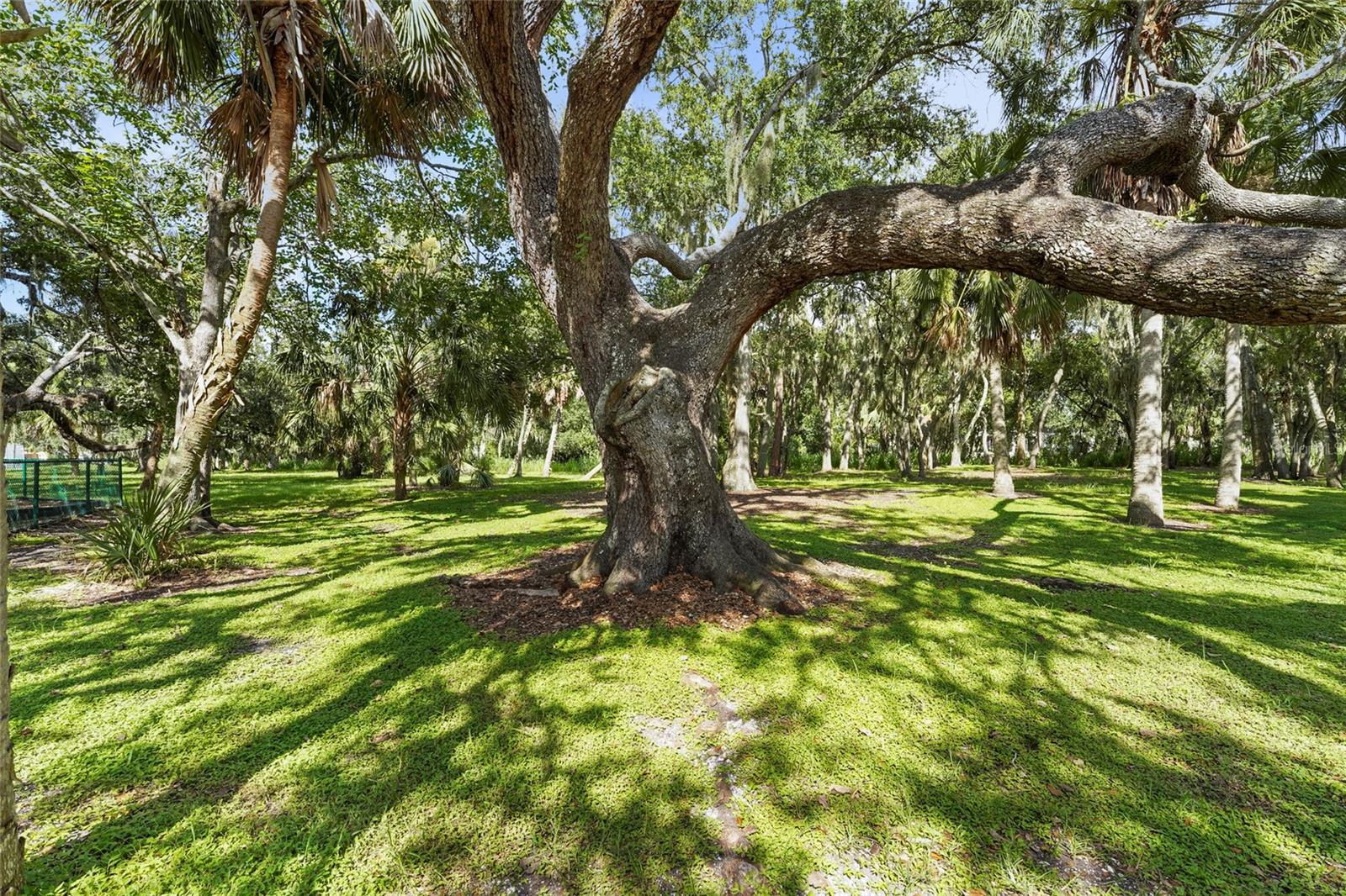 A4660428 Property Photo