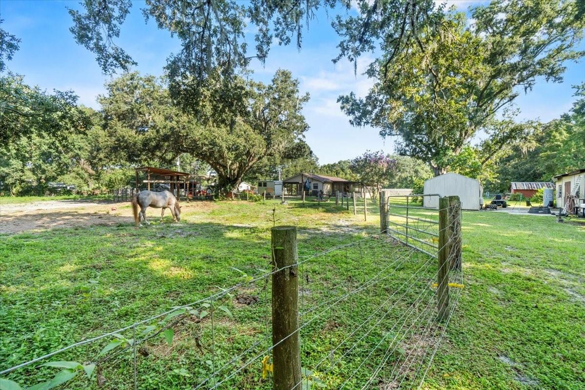 1402 CLARKWOOD DR, PLANT CITY, FL, 33566