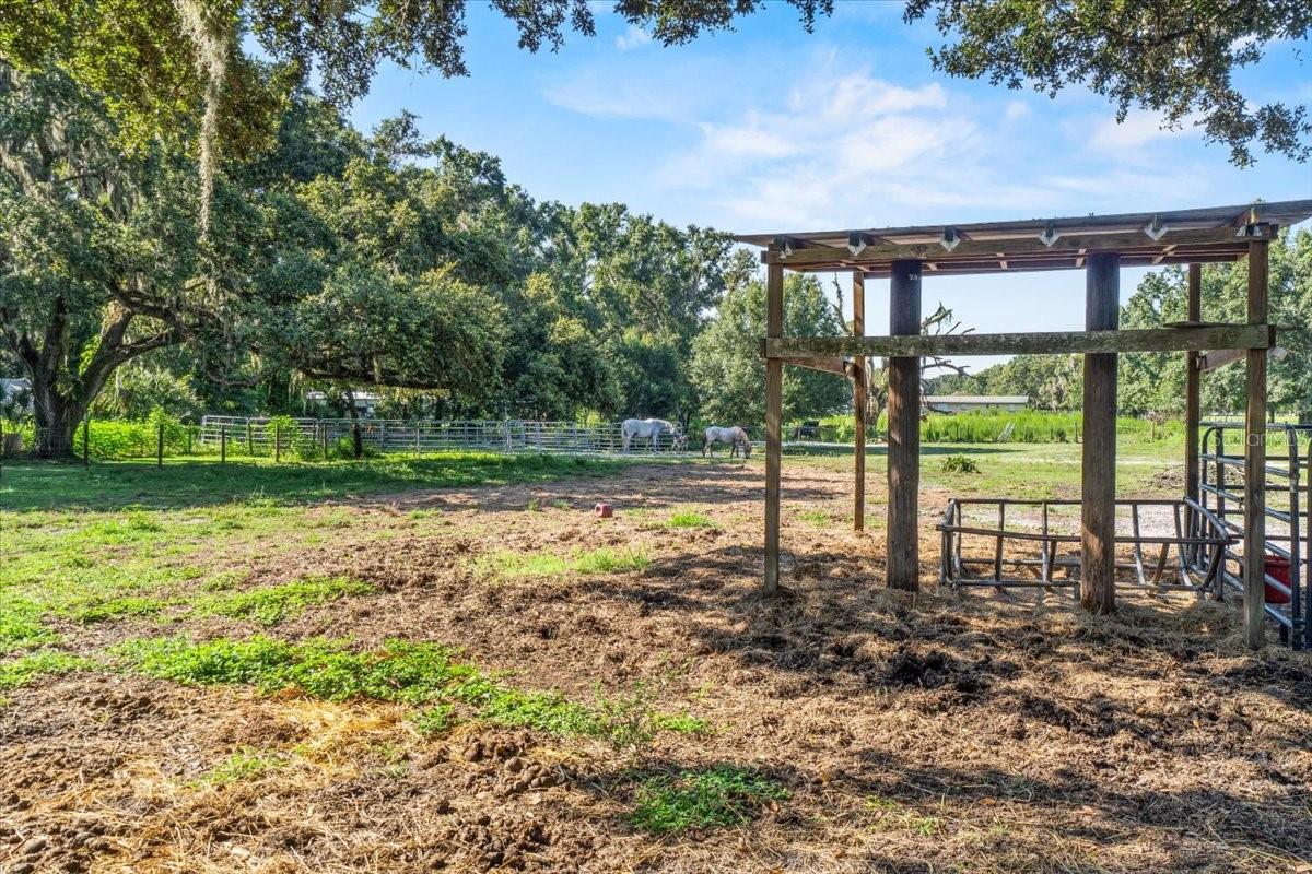 1402 CLARKWOOD DR, PLANT CITY, FL, 33566