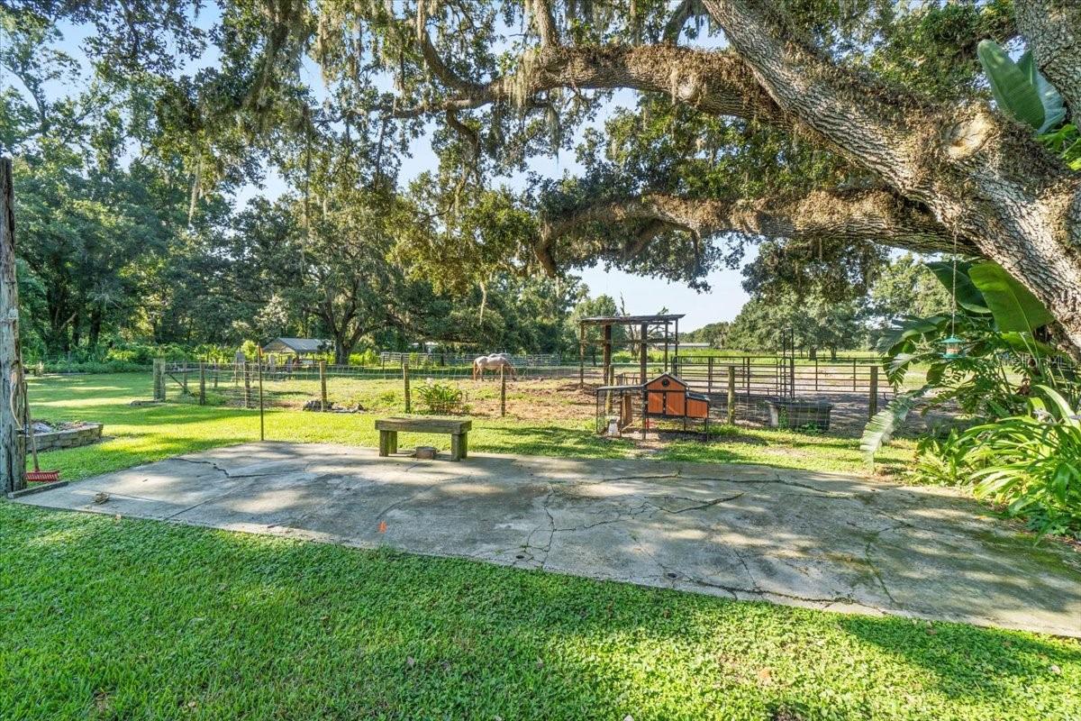 1402 CLARKWOOD DR, PLANT CITY, FL, 33566