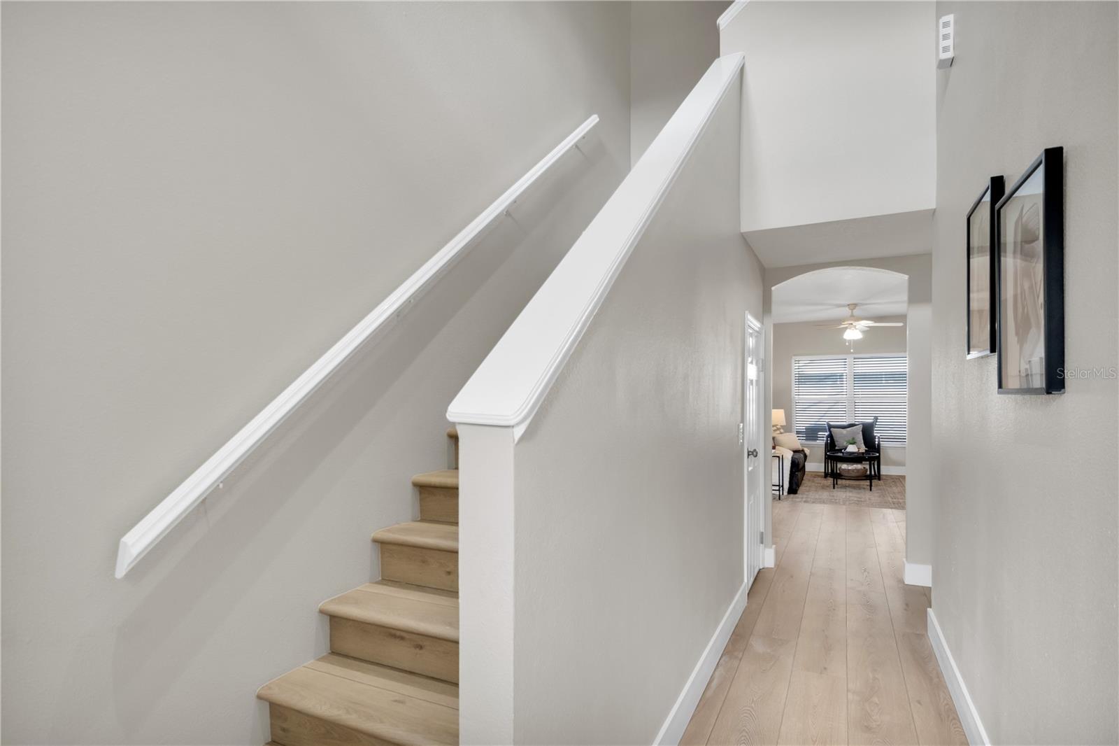 8517 HAWBUCK ST, TRINITY, FL, 34655