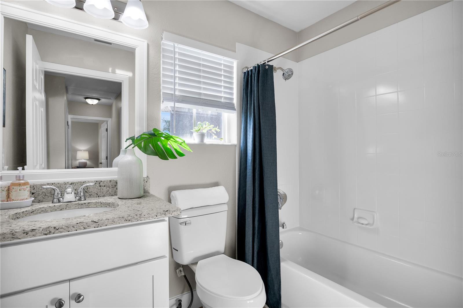 8517 HAWBUCK ST, TRINITY, FL, 34655