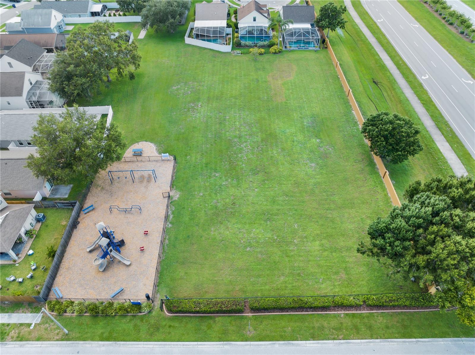 8517 HAWBUCK ST, TRINITY, FL, 34655