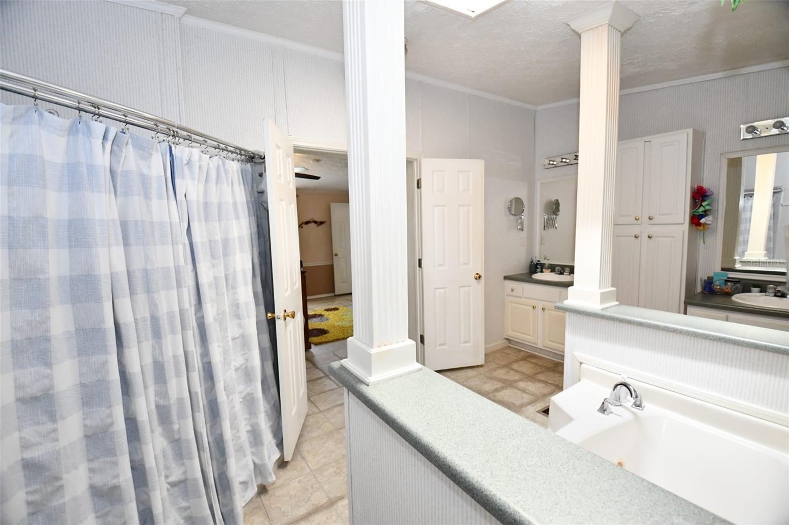 30529 EASTPORT DR, WESLEY CHAPEL, FL, 33545