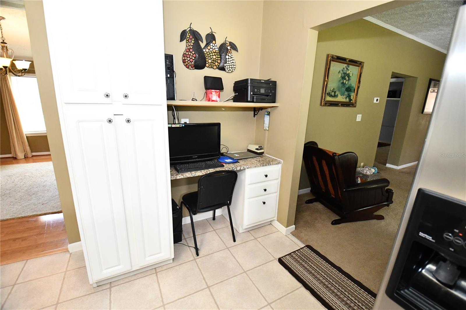 30529 EASTPORT DR, WESLEY CHAPEL, FL, 33545