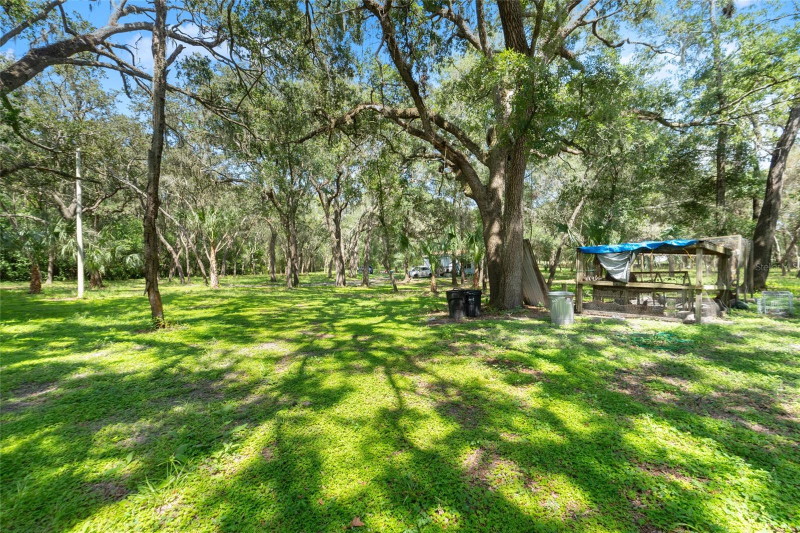 12322 KITTEN TRL, HUDSON, FL, 34669