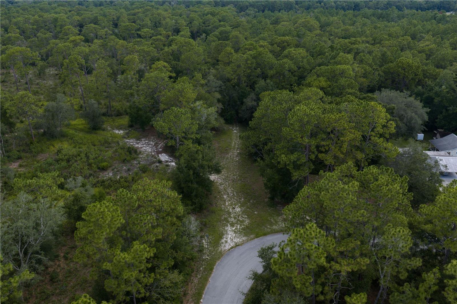 JERNIGAN ST, BROOKSVILLE, FL, 34613