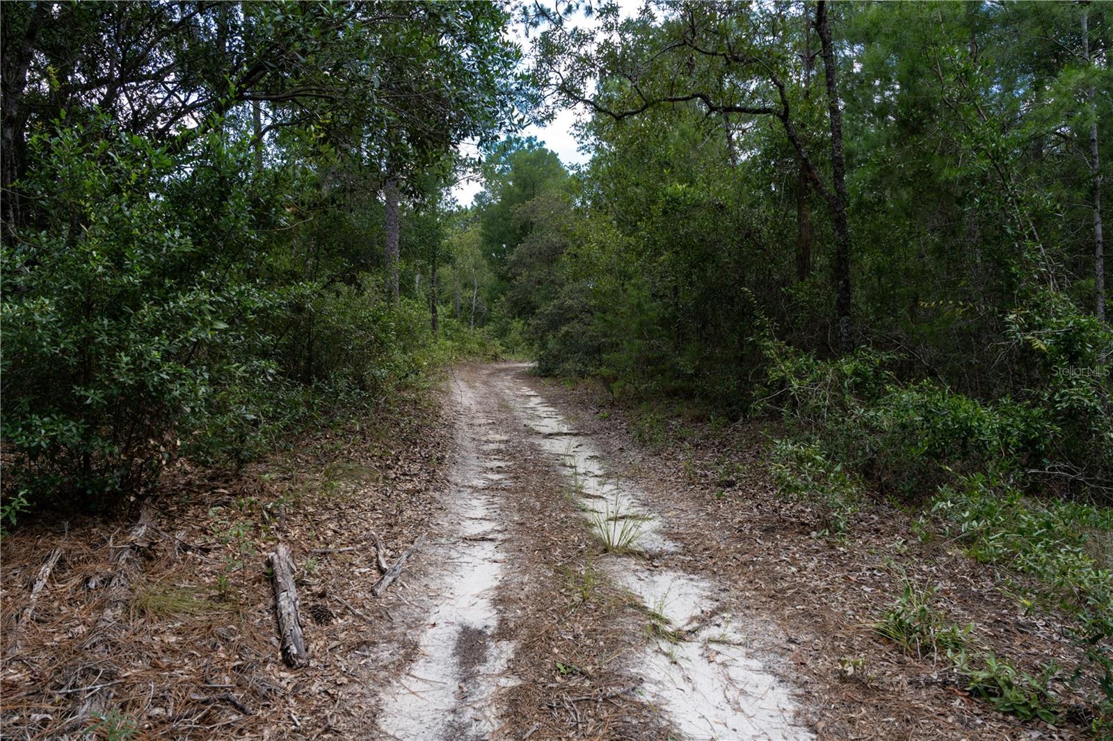 JERNIGAN ST, BROOKSVILLE, FL, 34613