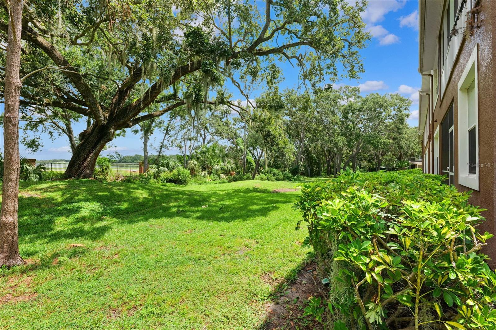 Side of condo/Green Space