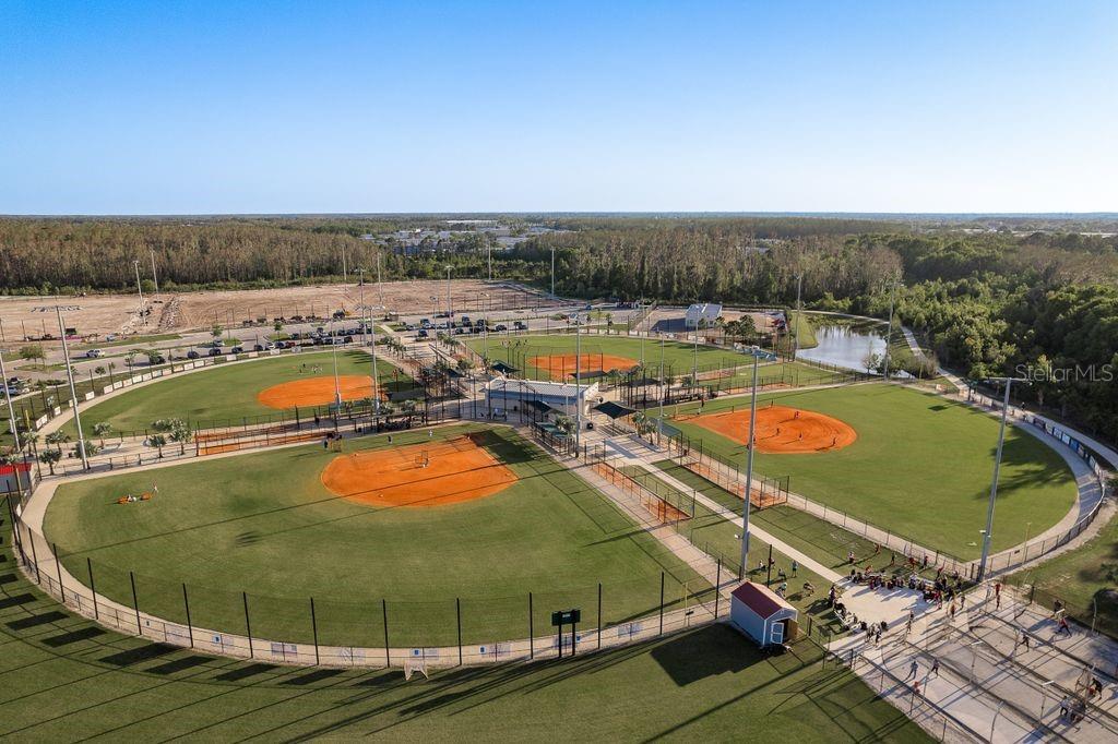 12255 CORKFIELD LN, ODESSA, FL, 33556