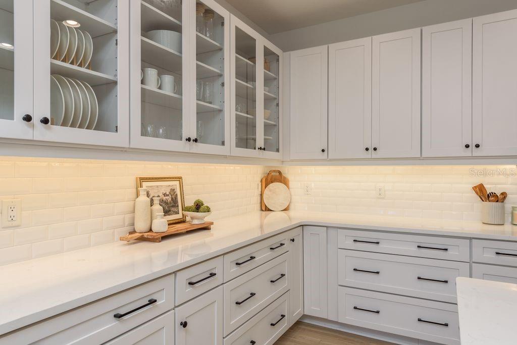 12255 CORKFIELD LN, ODESSA, FL, 33556