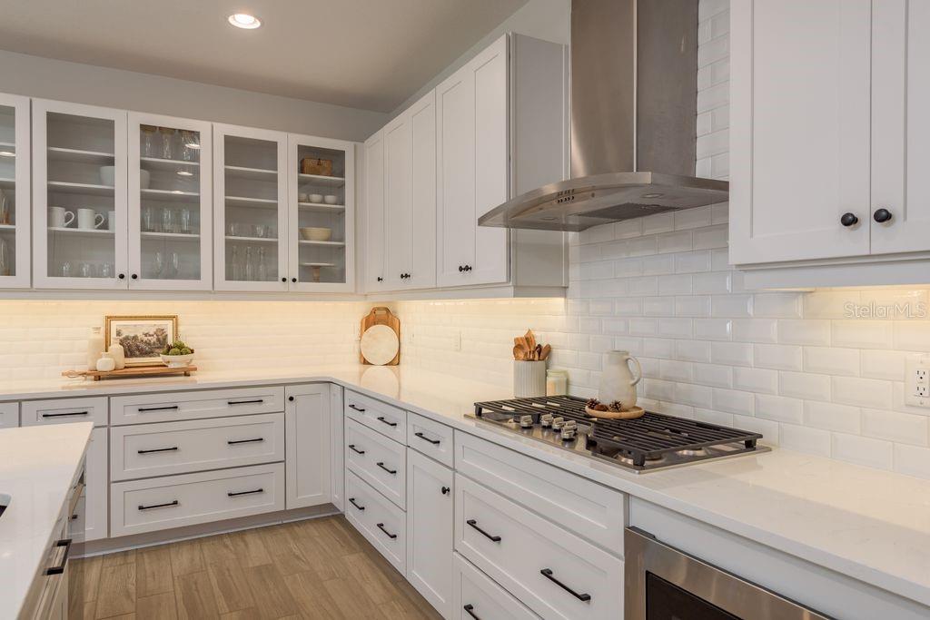 12255 CORKFIELD LN, ODESSA, FL, 33556