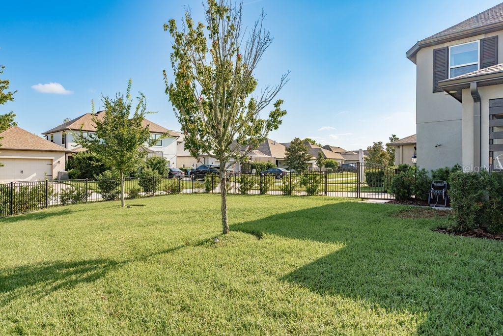 12255 CORKFIELD LN, ODESSA, FL, 33556